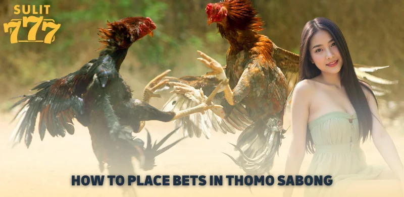 How to Place Bets in Thomo Sabong