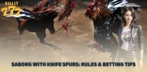 Sabong with Knife Spurs Rules Betting Tips