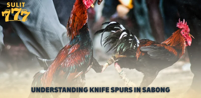 Understanding Knife Spurs in Sabong